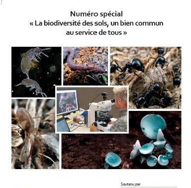 Numéro spécial EGS : La biodiversité des sols : un bien commun au service de tous