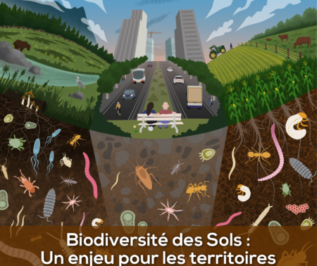Journée Mondiale des Sols 2020