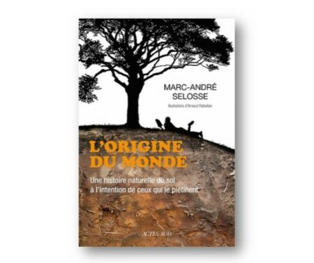 Note de lecture de l’ouvrage de M.A. Selosse « L’origine du monde. »