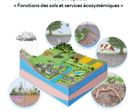 Numéro spécial EGS : fonctions des sols et services écosystémiques