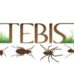 Journées TEBIS 2023