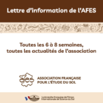Les lettres d’information de l’AFES