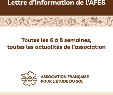 Les lettres d’information de l’AFES