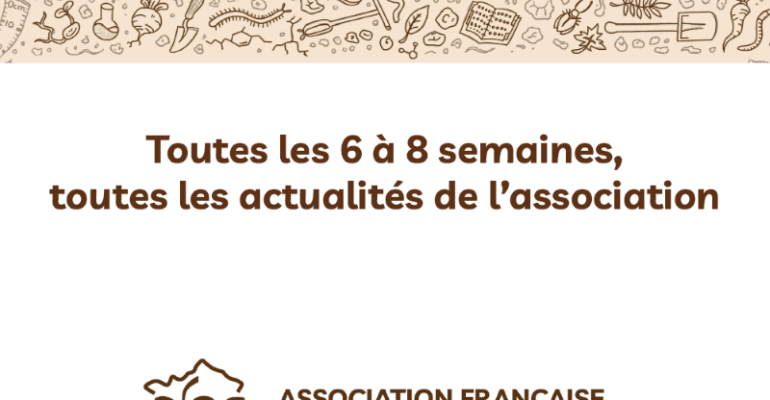 Les lettres d’information de l’AFES