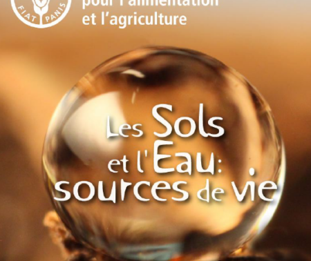 Résultats du symposium mondial Sol et Eau