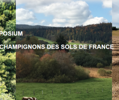 Symposium — Les champignons des sols de France — jeudi 4 avril 2024