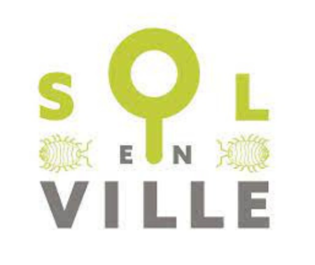 Poster – Découvrons ensemble les sols urbains vivants