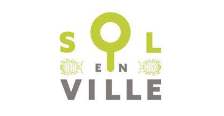 Poster – Découvrons ensemble les sols urbains vivants