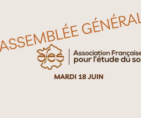 Assemblée Générale 2024 de l’AFES