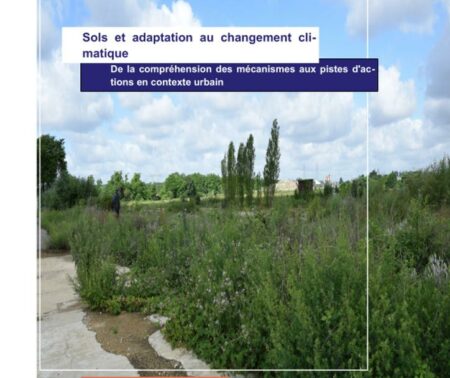 Sols et adaptation au changement climatique – De la compréhension des mécanismes aux pistes d’actions en contexte urbain