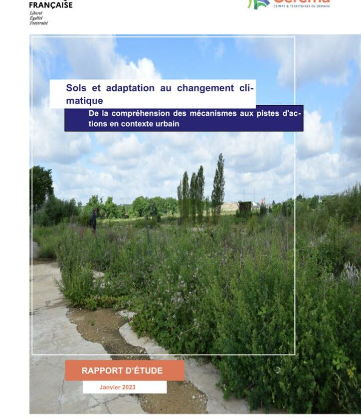 Sols et adaptation au changement climatique – De la compréhension des mécanismes aux pistes d’actions en contexte urbain