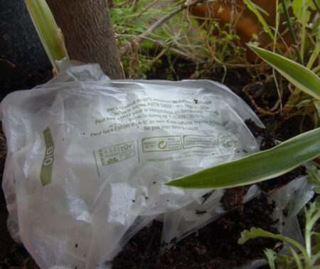 Portrait de porteurs de projet : PlastiZen