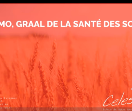 La MO, graal de la santé des sols ?