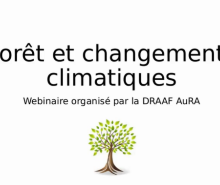 Prendre en compte le risque de dégradation des sols par tassement pour mieux préserver les forêts