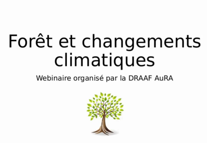 Prendre en compte le risque de dégradation des sols par tassement pour mieux préserver les forêts