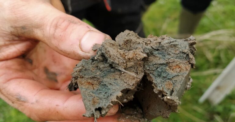Application SolRedOx : caractérisation des zones humides