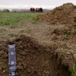 International Soil Science Conference 2025 (SOILS 2025)