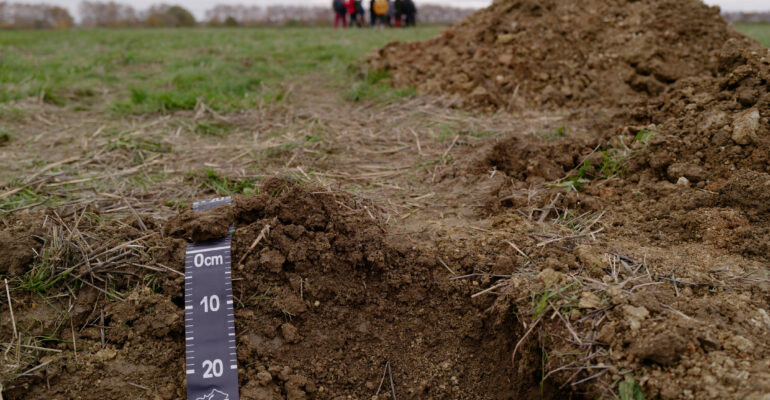 International Soil Science Conference 2025 (SOILS 2025)