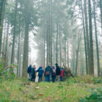 Forêt méditerranéenne : cycle de journées d’échanges et d’information