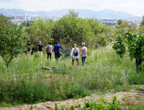 Poster : Des sols vivants dans nos territoires