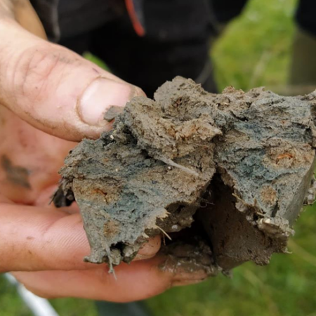 Se former à la description des sols de zones humides et à l'application SolRedoX