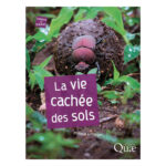Note de lecture : la vie cachée des sols