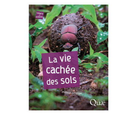 Note de lecture : la vie cachée des sols