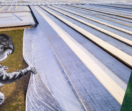 Colloque « Plastiques utilisés en agriculture et pour l’alimentation : usages, propriétés et impacts »