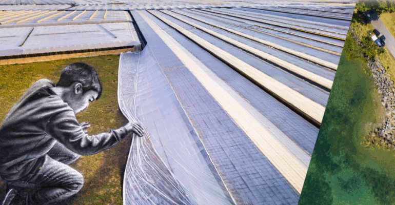 Colloque « Plastiques utilisés en agriculture et pour l’alimentation : usages, propriétés et impacts »
