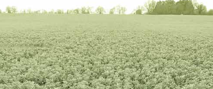 Recueil de savoir-faire paysans en Agriculture Biologique de Conservation