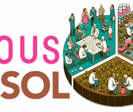 Tous en Sol, 1 programme – 3 villes : une mobilisation surprise réussie !