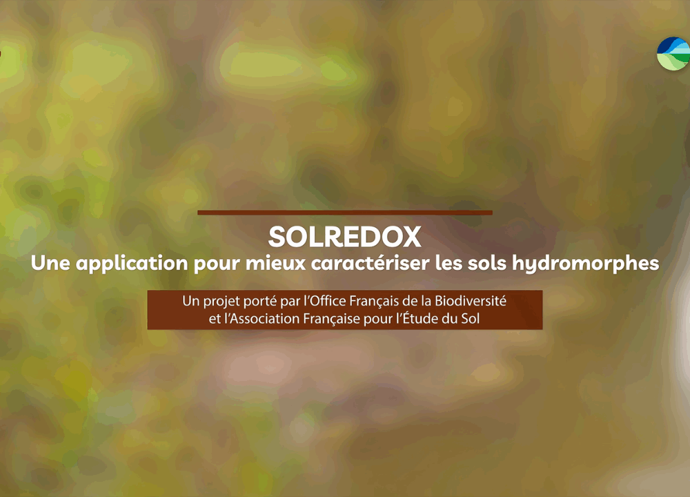 Vidéo de présentation de l’application SolRedOx
