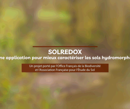 Vidéo de présentation de l’application SolRedOx