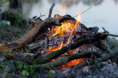Carbone organique et carbone pyrogénique dans les sols de la forêt de Fontainebleau