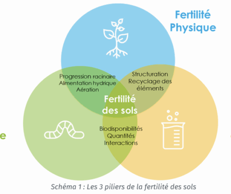 Evaluation des solutions de mesure de la biologie des sols – Retour d’expérience du réseau Fermes Leader