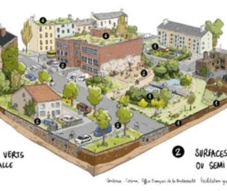 La pleine terre : une opportunité pour mieux intégrer les sols aux documents d’urbanisme