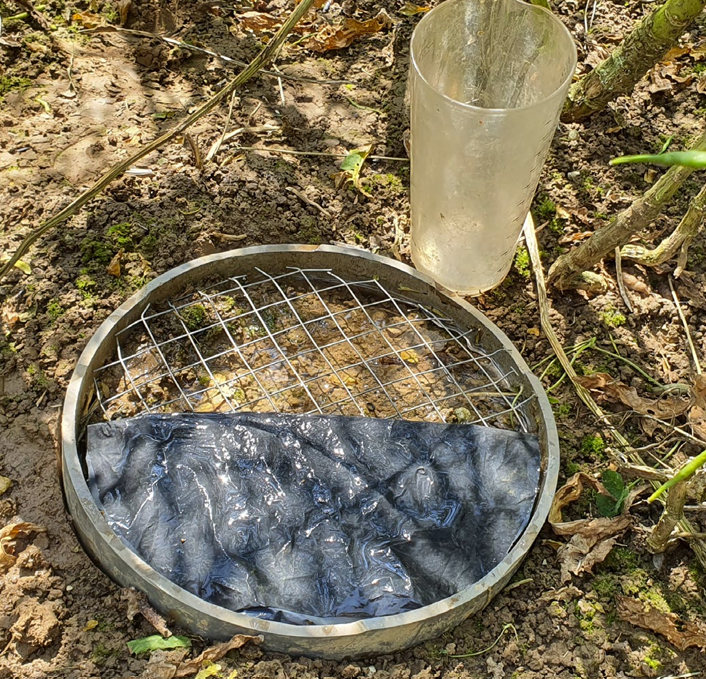 Optimiser l’eau du sol pour une meilleure résilience climatique