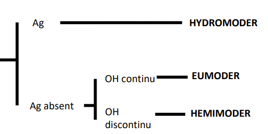 Clé de détermination des principales formes d’humus