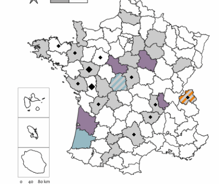 Connaître les sols pour donner une valeur aux terres agricoles ? Etude de la variabilité interdépartementale des réglementations
