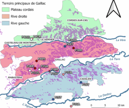 Dynamique des communautés microbiennes des sols viticoles du Sud de la France : Suivi temporel et stabilité des indicateurs
