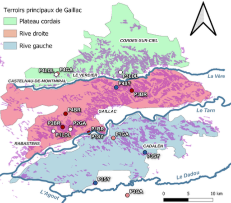 Dynamique des communautés microbiennes des sols viticoles du Sud de la France : Suivi temporel et stabilité des indicateurs