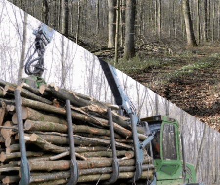 Pratic’sols – Guide sur la praticabilité des parcelles forestières