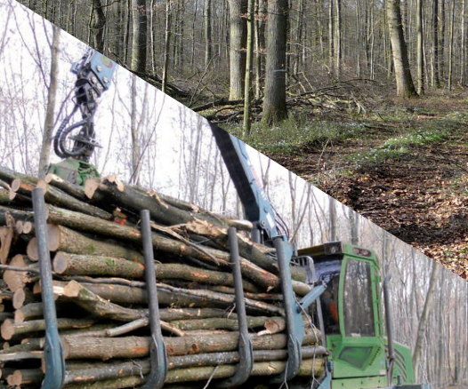 Pratic’sols – Guide sur la praticabilité des parcelles forestières