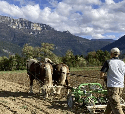 La santé des sols maraîchers pourrait elle se trouver sous les sabots d’un cheval ? Expérimentations transdisciplinaires