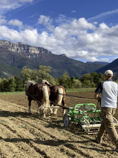 La santé des sols maraîchers pourrait elle se trouver sous les sabots d’un cheval ? Expérimentations transdisciplinaires