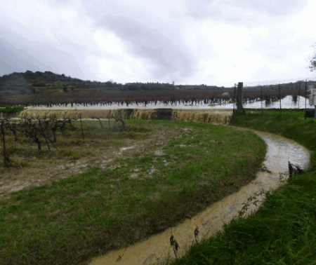 Caractérisation des sols spécifiques à l’environnement des fossés agricoles en Méditerranée