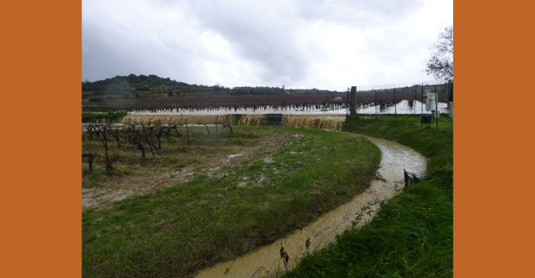 Caractérisation des sols spécifiques à l’environnement des fossés agricoles en Méditerranée