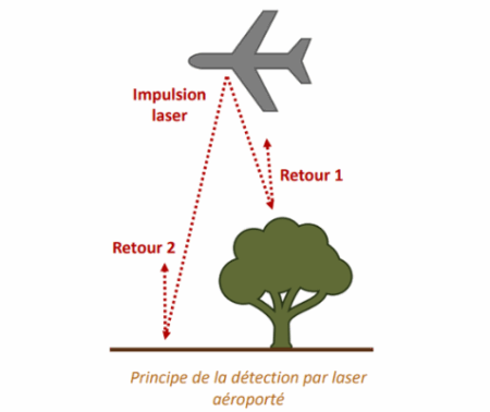 La technologie LiDAR pour explorer ce que les sols forestiers doivent à leur usage agricole antique