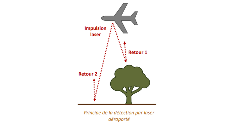 La technologie LiDAR pour explorer ce que les sols forestiers doivent à leur usage agricole antique