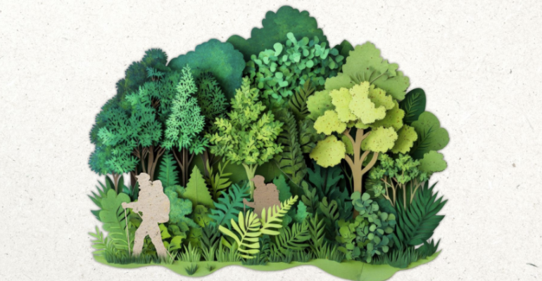 Journée annuelle du programme FORESTT